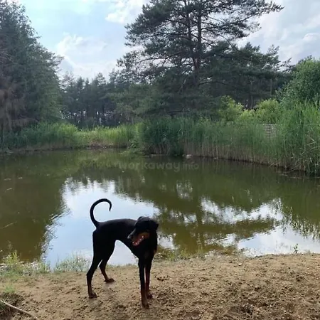 Ferienzimmer In Haus Am Wald In Kirsten's Refugium