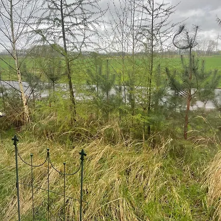 Ferienzimmer In Haus Am Wald In Kirsten's Refugium