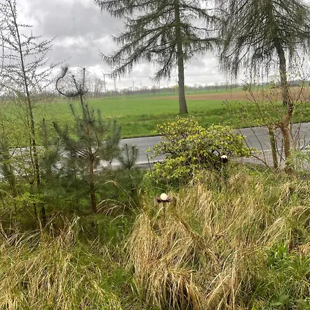 Ferienzimmer In Haus Am Wald In Kirsten's Refugium Διαμέρισμα