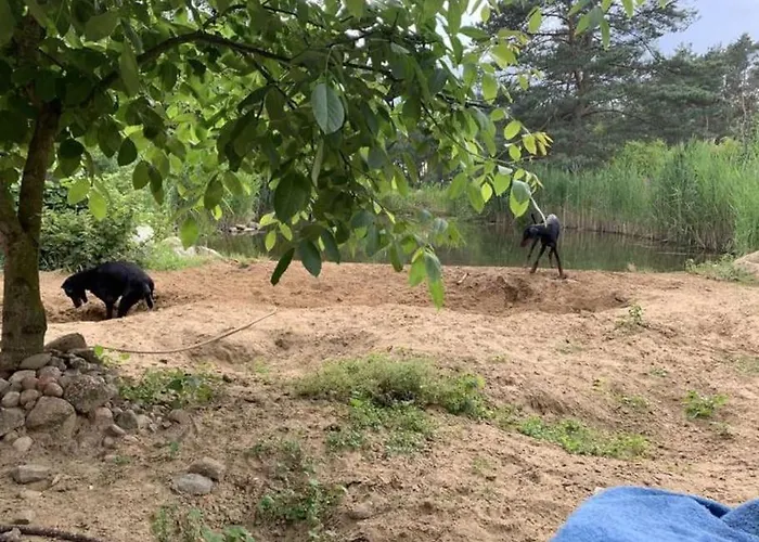 Lejlighed Ferienzimmer In Haus Am Wald In Kirsten's Refugium Karstädt