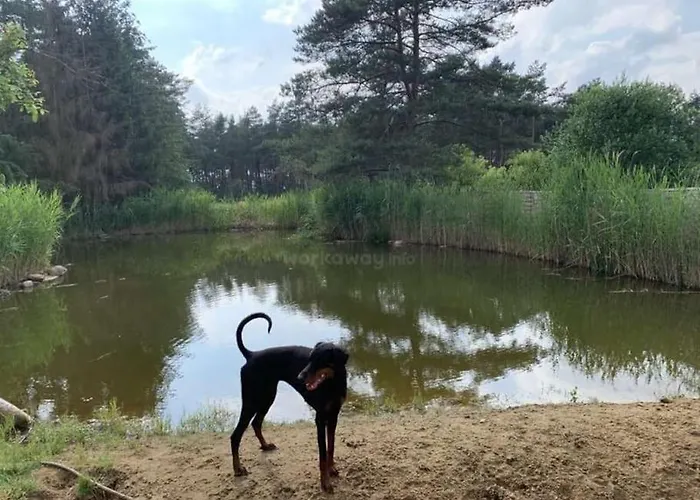 Ferienzimmer In Haus Am Wald In Kirsten's Refugium
