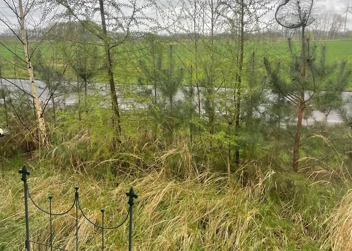 Ferienzimmer In Haus Am Wald In Kirsten's Refugium